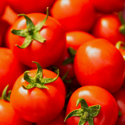 Due diligence commerciale pour l’acquisition d'une entreprise spécialisée dans la transformation de tomate